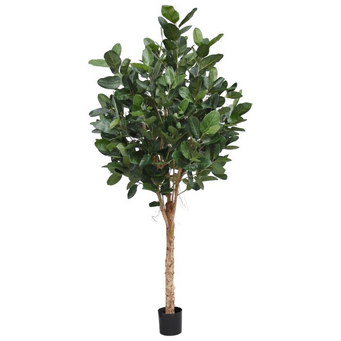 Kunstboom Ficus (250 cm)