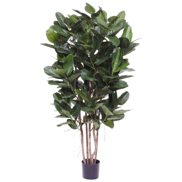 Umelý strom Ficus (155 cm)