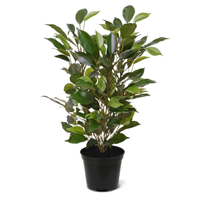 Umelá rastlina Ficus (40 cm)