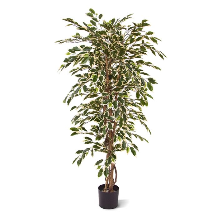 Τεχνητό Ficus Hawai tree (150 cm)