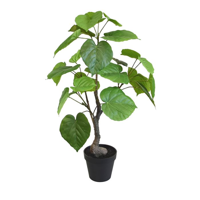 Planta artificial Ficus Umbellata (60 cm)
