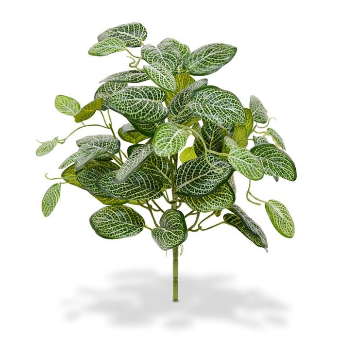 Planta artificial Fittonia (40 cm)