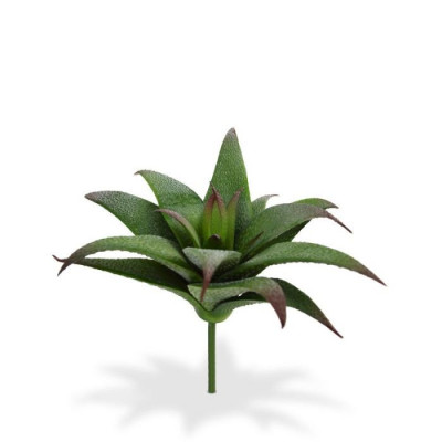 Bouquet Haworthia Succulent artificial
