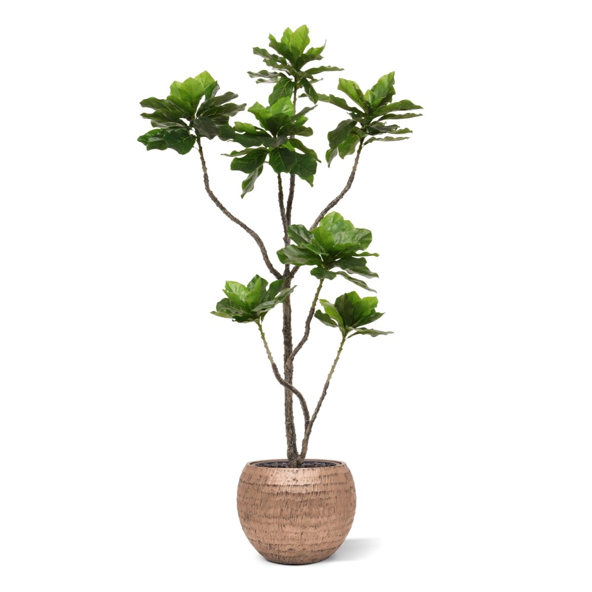 Kunstplant Heliotropium (155 cm)