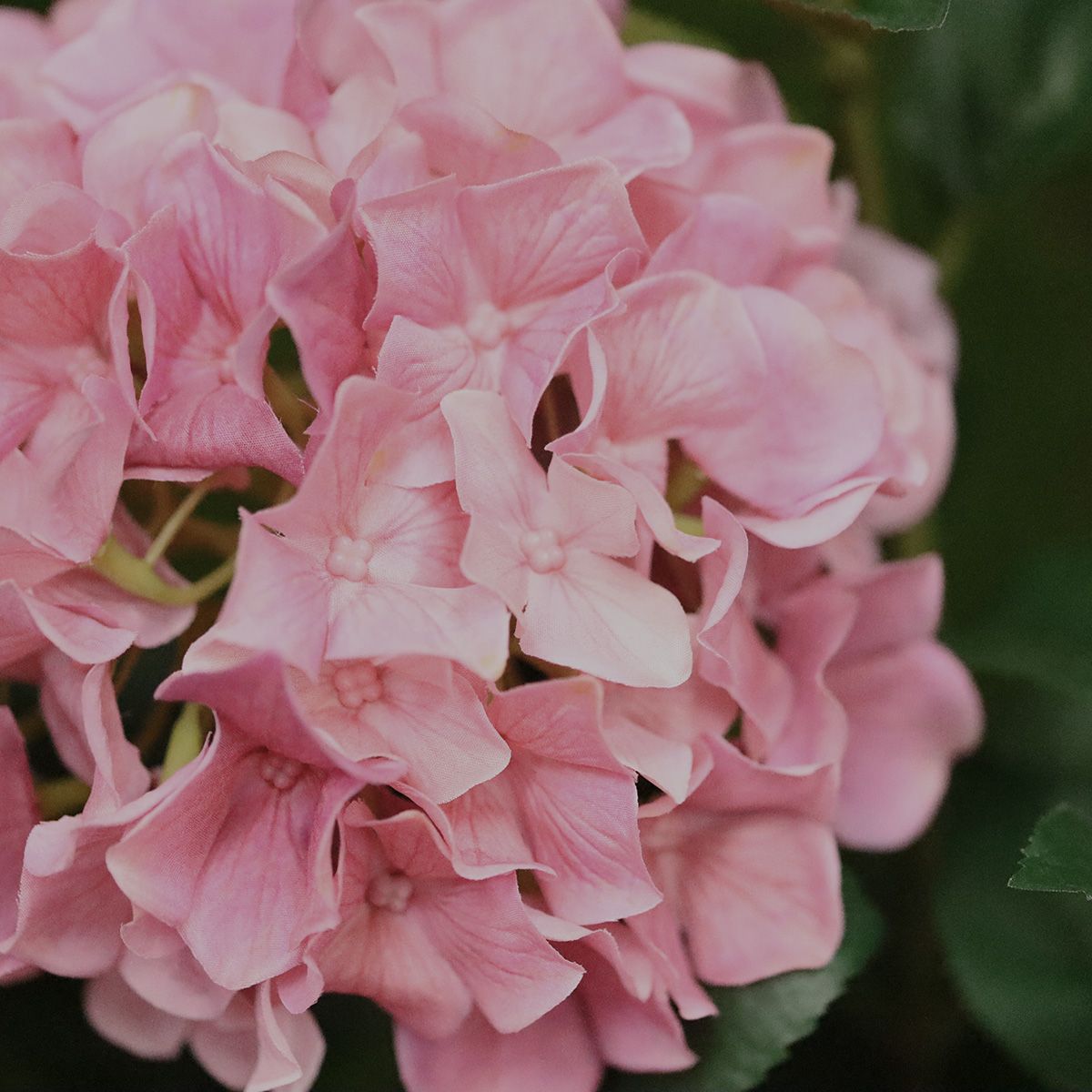 Fleur artificielle Hortensia (65 cm)