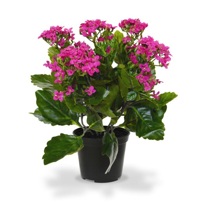 Kunstbloem Kalanchoë (30 cm)