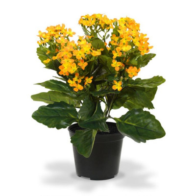 Planta Kalanchoe artificial 30 cm laranje no pote 