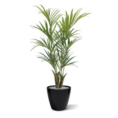 Fake Kentia Palm (165 cm)