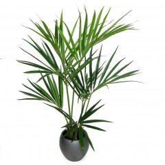 Fake Kentia Palmtree (135 cm)