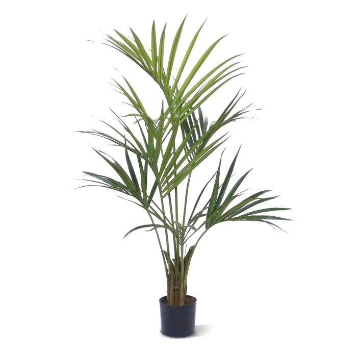 Τεχνητό Kentia Palmtree (135 cm)