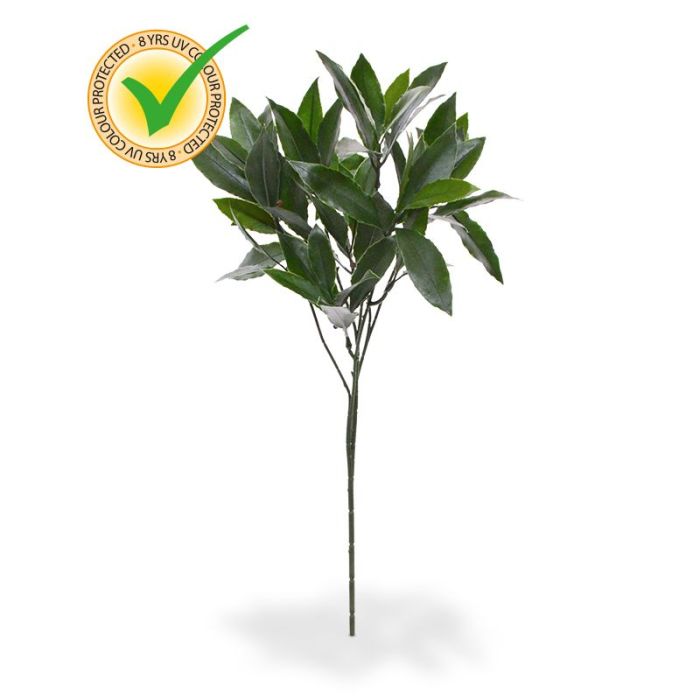 Kunstplant Lauraltak (50 cm) UV