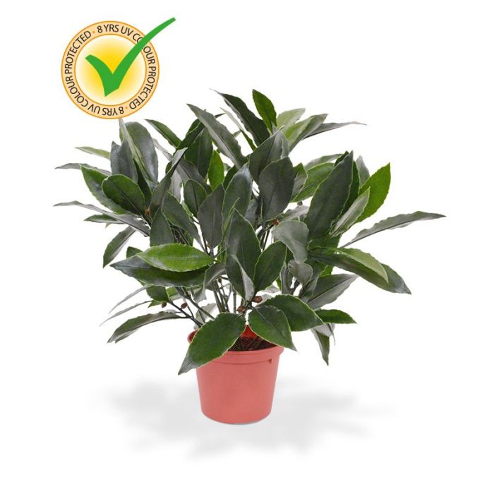 Kunstplant Laurierplant (35 cm) UV