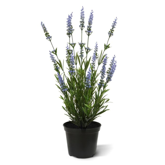 Pianta artificiale Pianta di lavanda (50 cm) UV