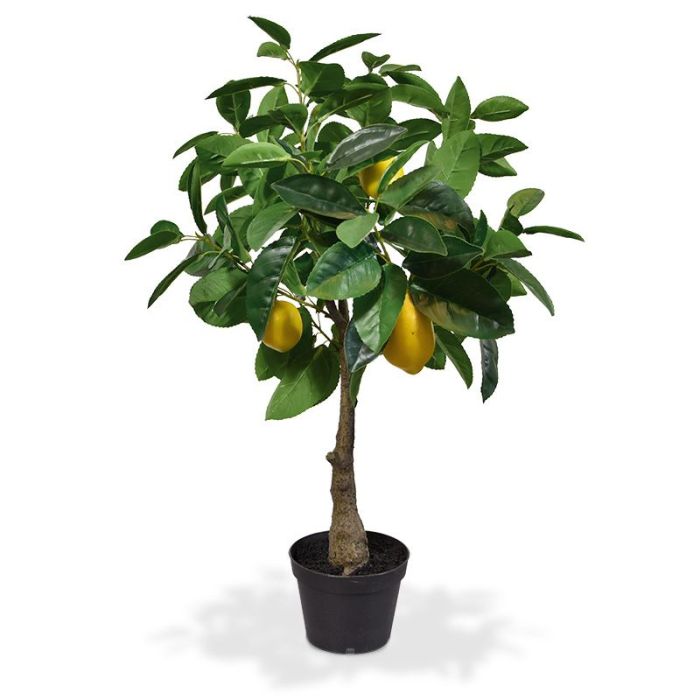 Kunstpflanze Zitronenpflanze (70 cm)
