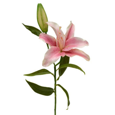 Ramo Lily artificial Deluxe 55 cm rosa