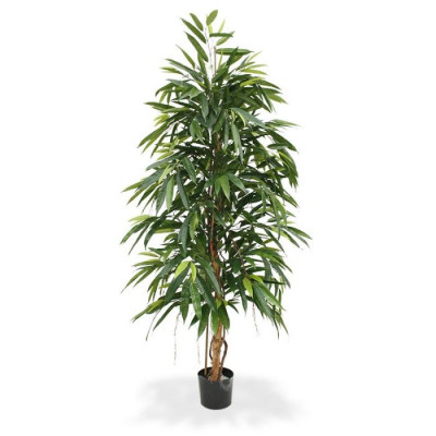 Longifolia Royal artificial 175 cm 