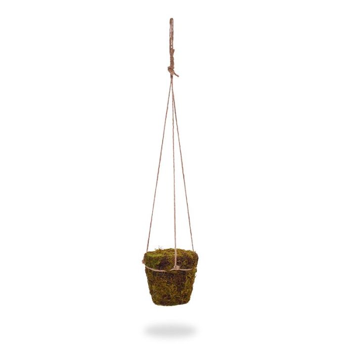 Planta artificial Pote de Musgo com juta corda cabide de (70 cm)