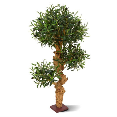 Zeytin bonsai ağacı (90 cm)