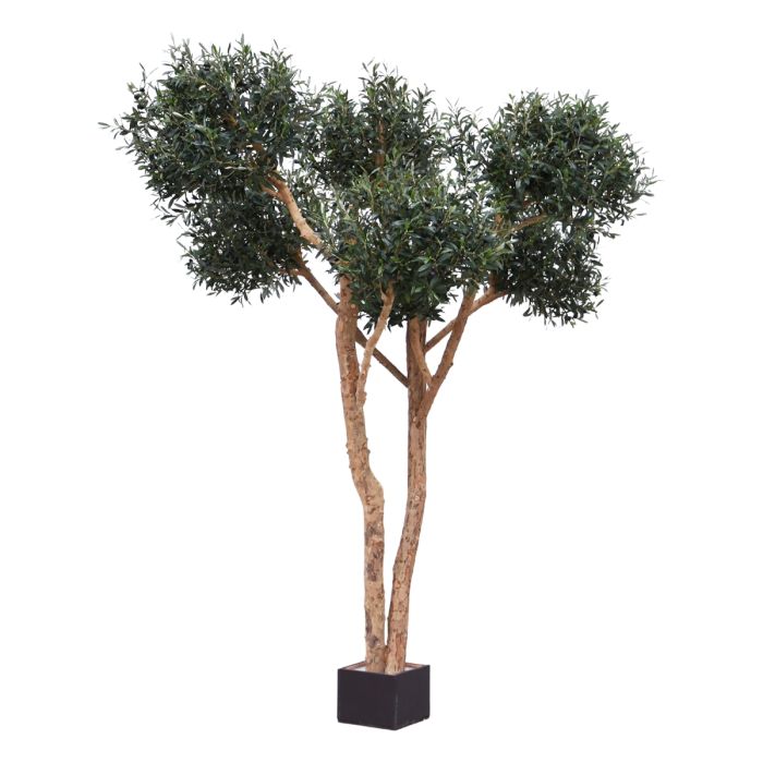 Artificial Olive tree bonsai (250 cm)