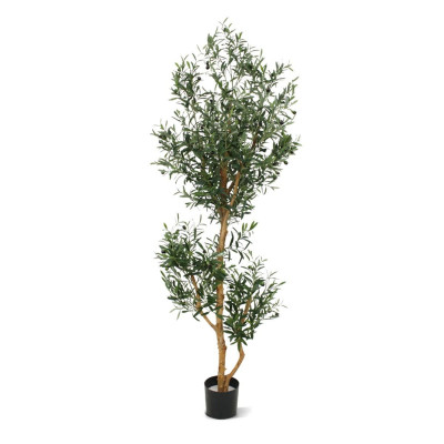 Оливковое дерево (180 см)