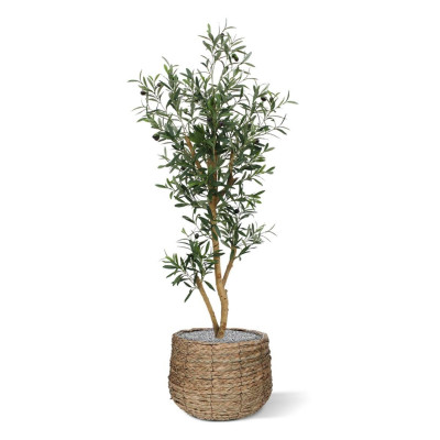 Mākslīgais olīvu koks Promo 120 cm