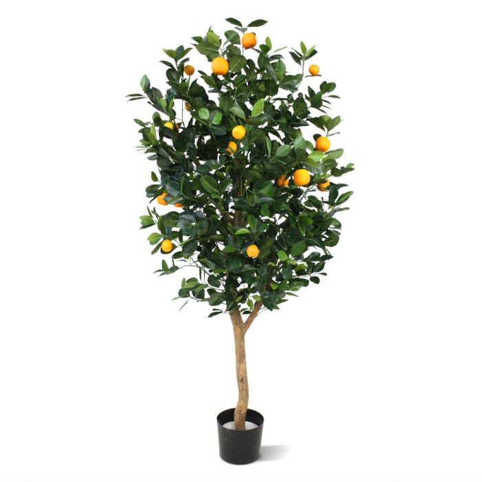 新作 Buy | cm) (150 Tree Orange the plant artificial best メイク道具・化粧小物