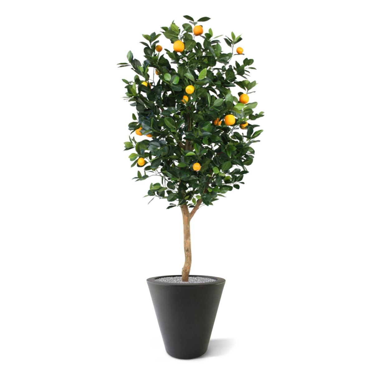 orangetree　 artificial-orange-tree-