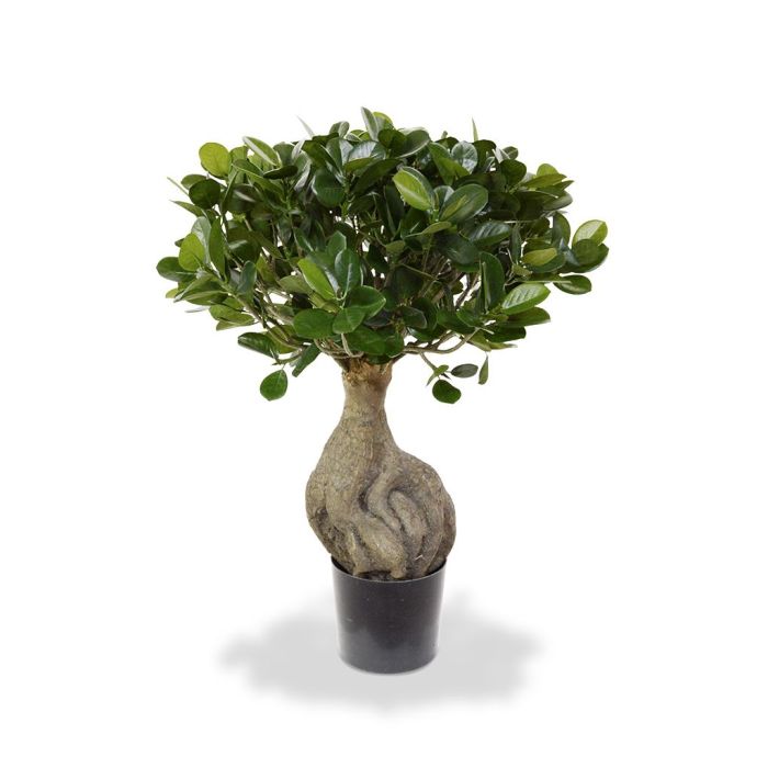 Arbre artificiel Panda Bonsaï (55 cm)