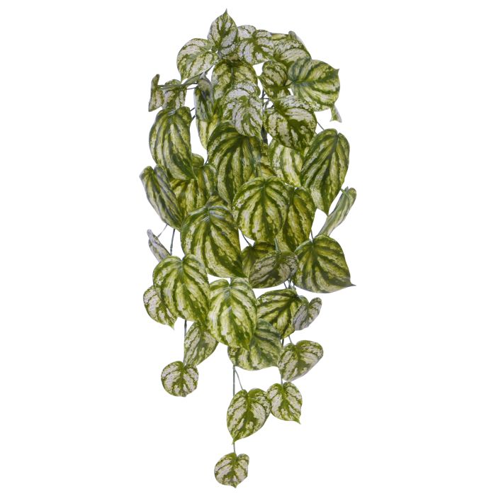 Kunstplant Peperomia (65 cm)