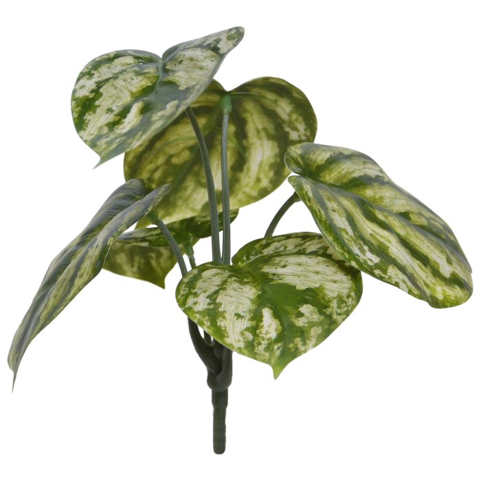 Kunstplant Peperomia (20 cm)