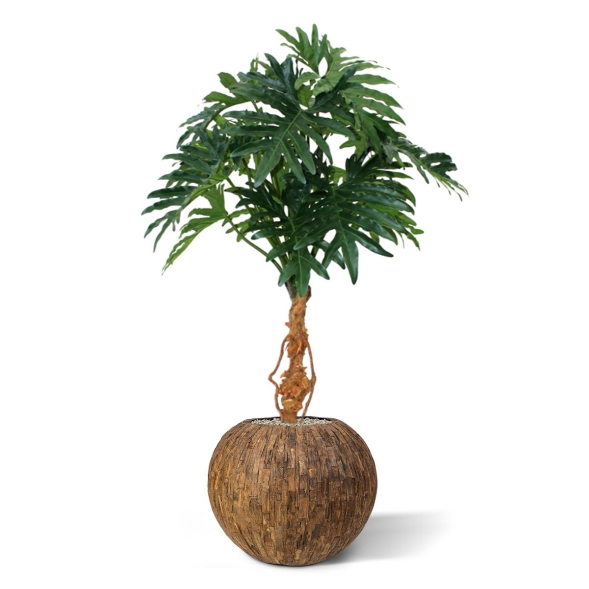 Dirbtinis augalas Filodendras 130 cm