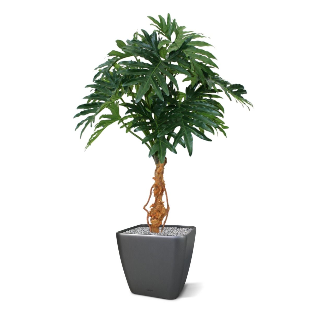 Kunstbaum Philo Selloum (130 cm)