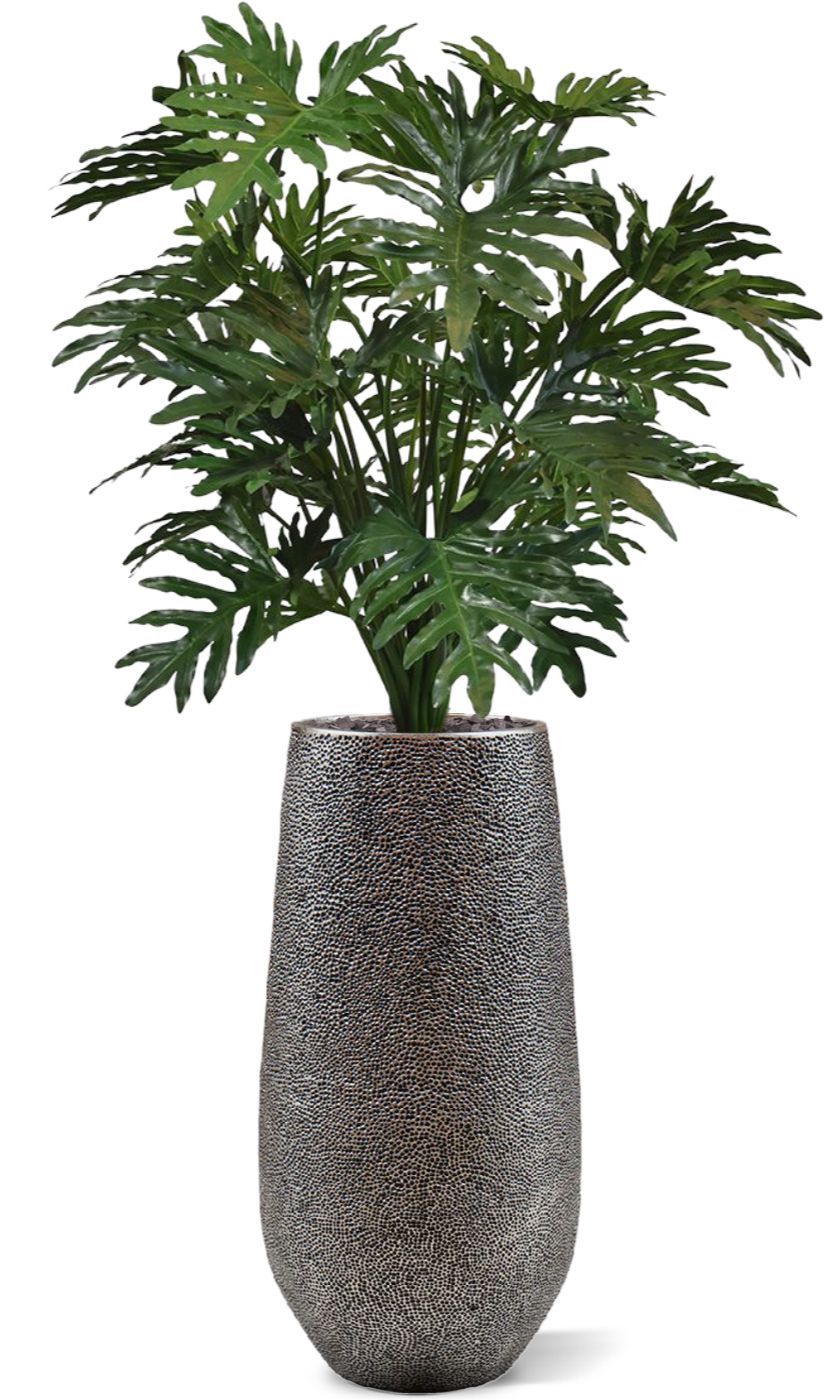 格安販売中 artificial-philo-selloum- その他観葉植物