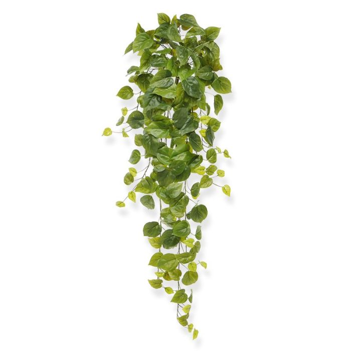 Pianta artificiale Pianta pensile filodendro (80 cm)
