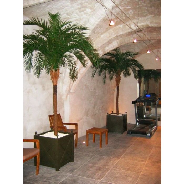 Yapay Fenix Hurma (300 cm)