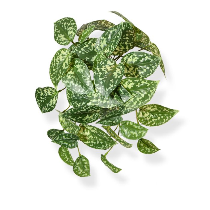 Kunstplant Pictus hangplant (25 cm)