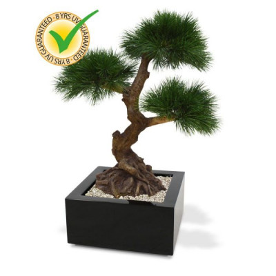 Pinus Bonsai artificial x3 60 cm UV