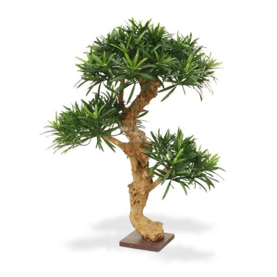 Árvore Podocarpus Bonsai artificial x3 65 cm na base