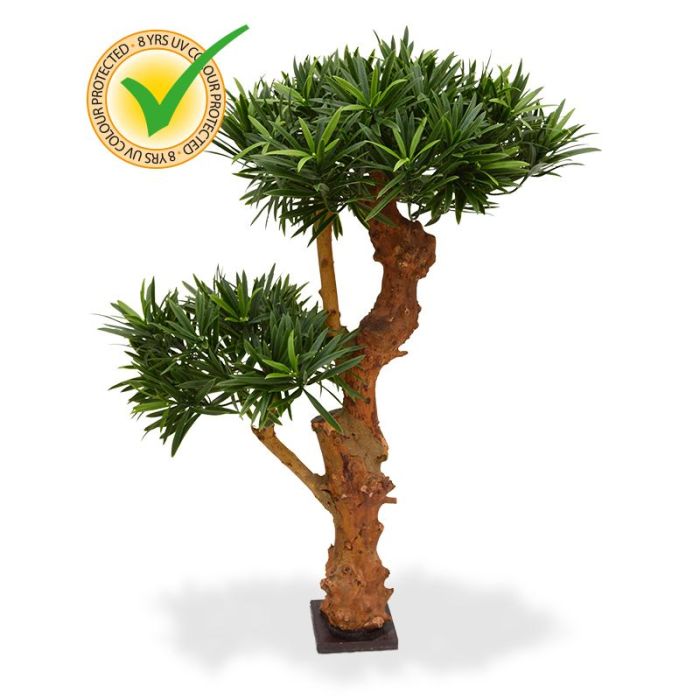 Kunstplant Podocarpus Bonsaiboom (65 cm) UV