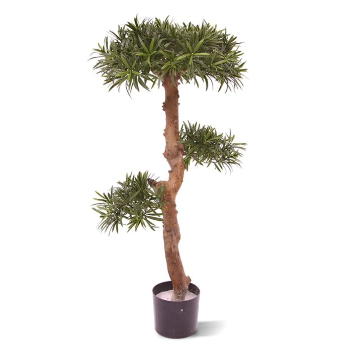 Plante artificielle Podocarpus Bonsaï UV (105 cm)