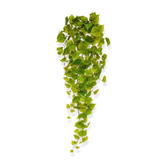 Kunstplant Populus hangplant (80 cm)