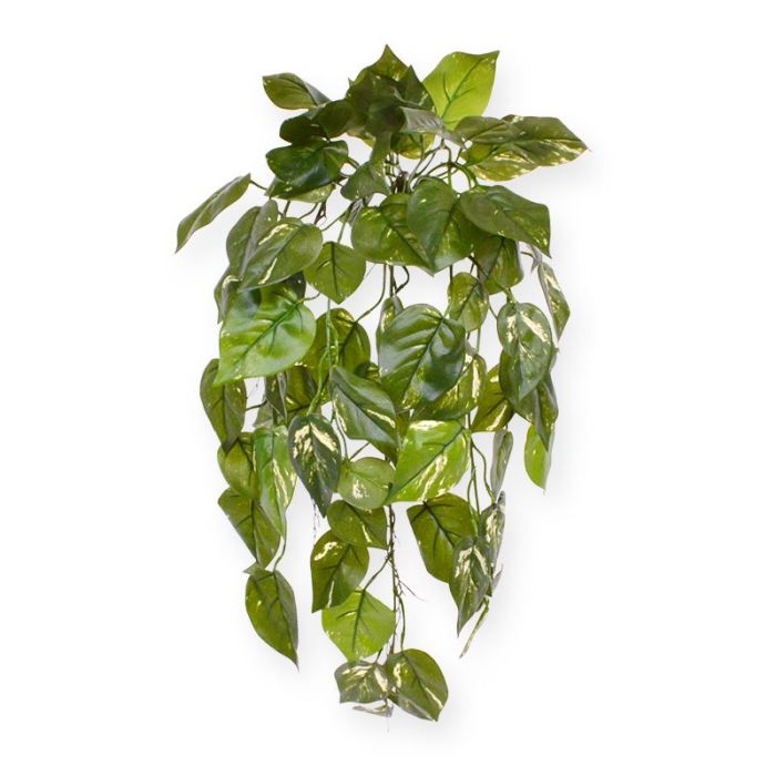 Umetna rastlina Viseča rastlina Pothos (70 cm)