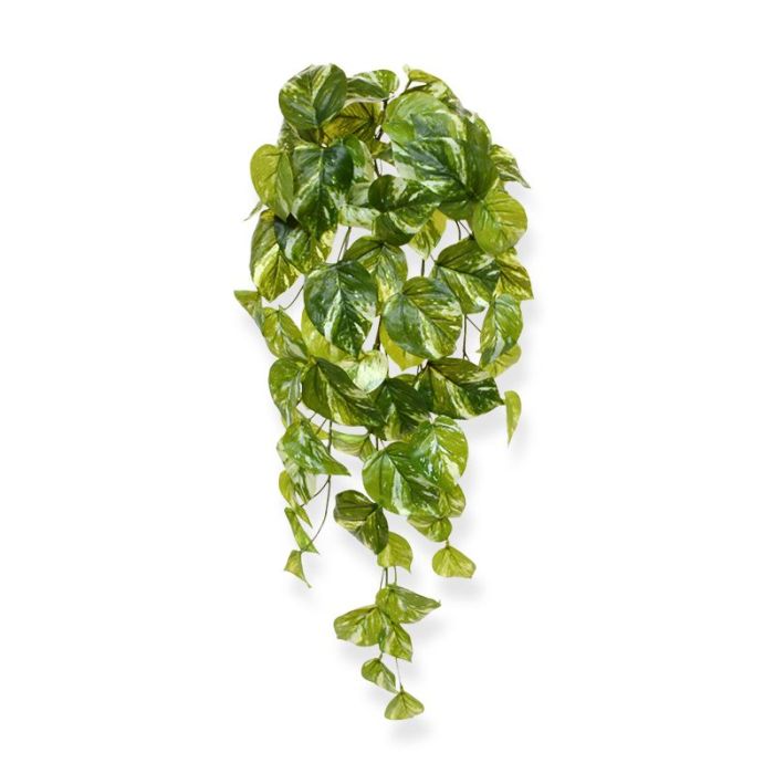 Kunstplant Pothos hangplant (60 cm)