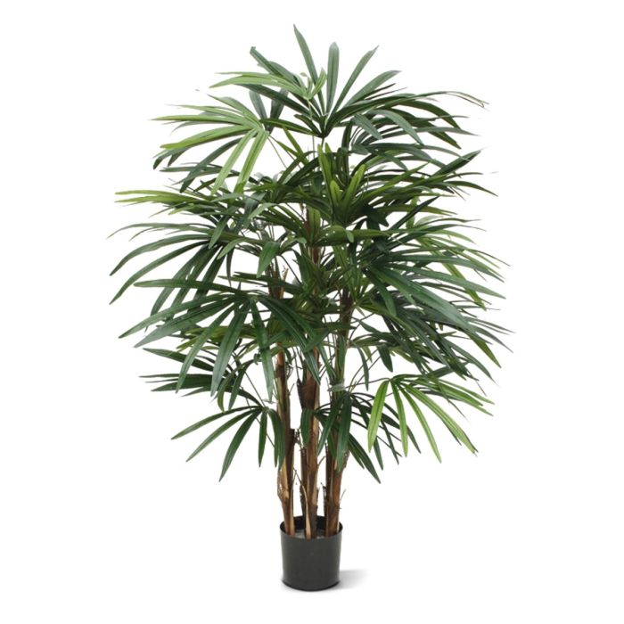 Τεχνητό Raphis Palm (100 cm)
