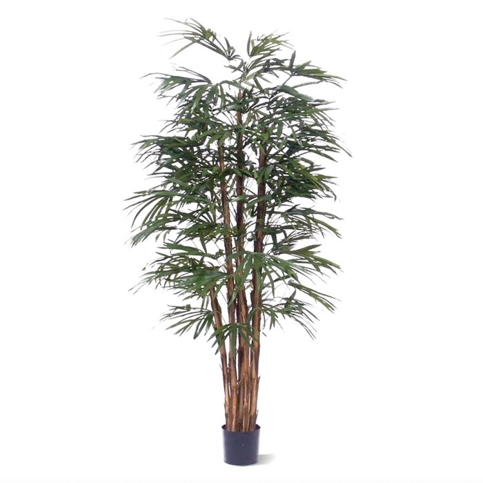 Τεχνητό Raphis Palm (190 cm)