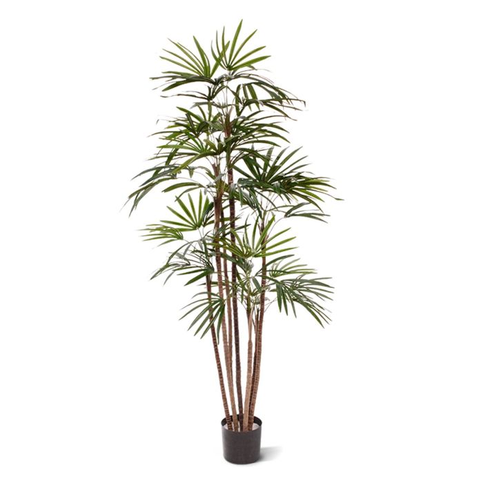 Τεχνητό Φοίνικας Raphis (170 cm)