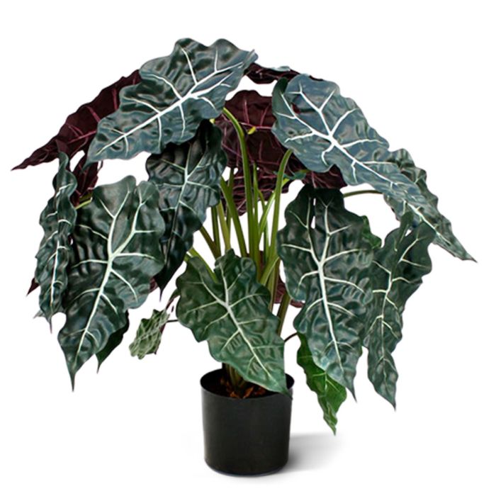 Kunstplant Rode Alocasia (75 cm)