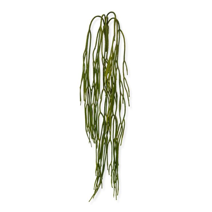 Pianta artificiale Rhipsalis Pilocarpa pianta rampicante (65 cm)