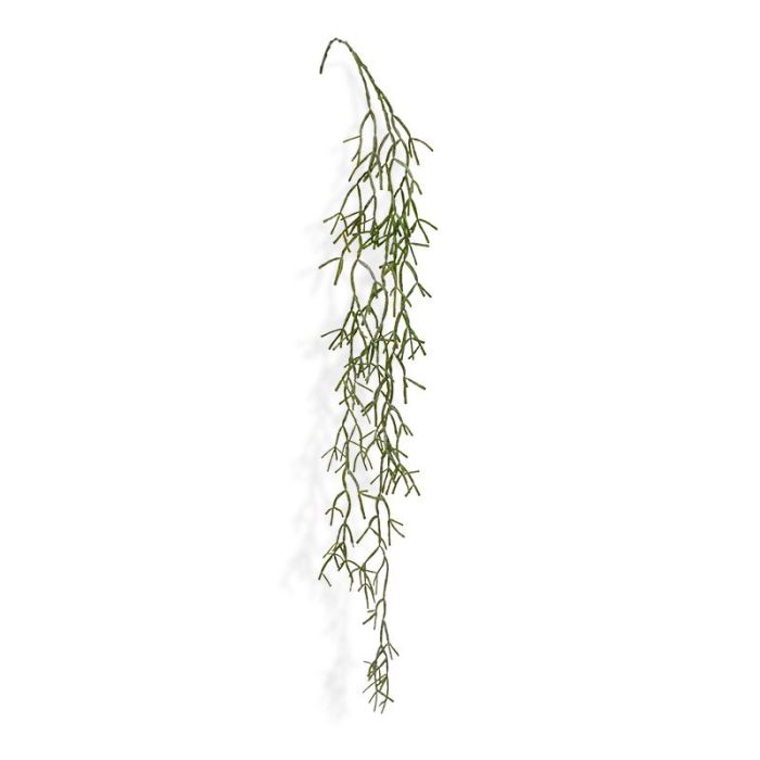 Pianta artificiale Rhipsalis Trigona pianta rampicante (100 cm)