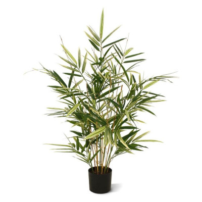 Bambu (70 cm)